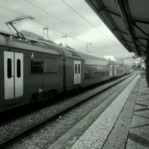 Meet your Posher, Rafael